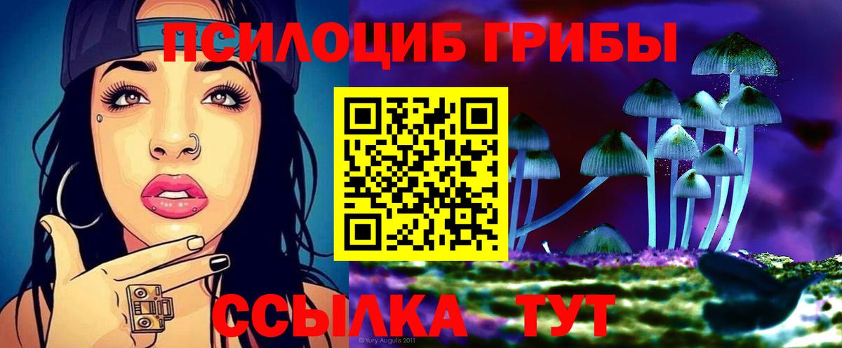 Галлюциногенные грибы Psilocybine cubensis Полевской