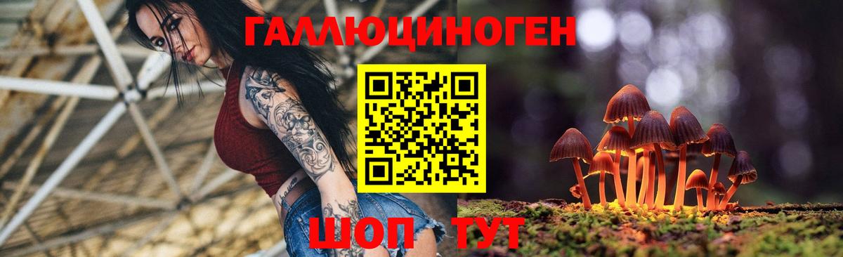 Полевской  Галлюциногенные грибы Psilocybe  Вход с VPN 